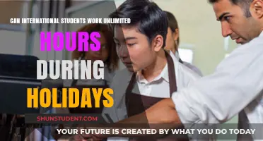 Working Holiday Visa: International Students' Work Hours Explained