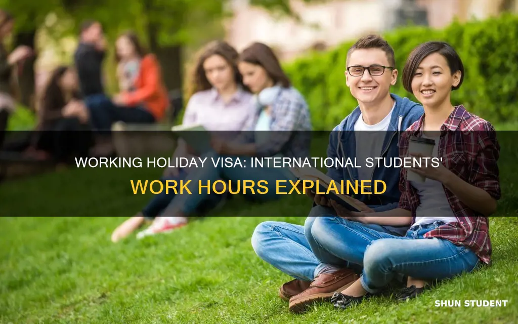 can international students work unlimited hours during holidays