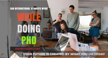 Working While Studying: PhD International Student Guide