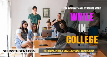 Working While Studying: Options for International Students