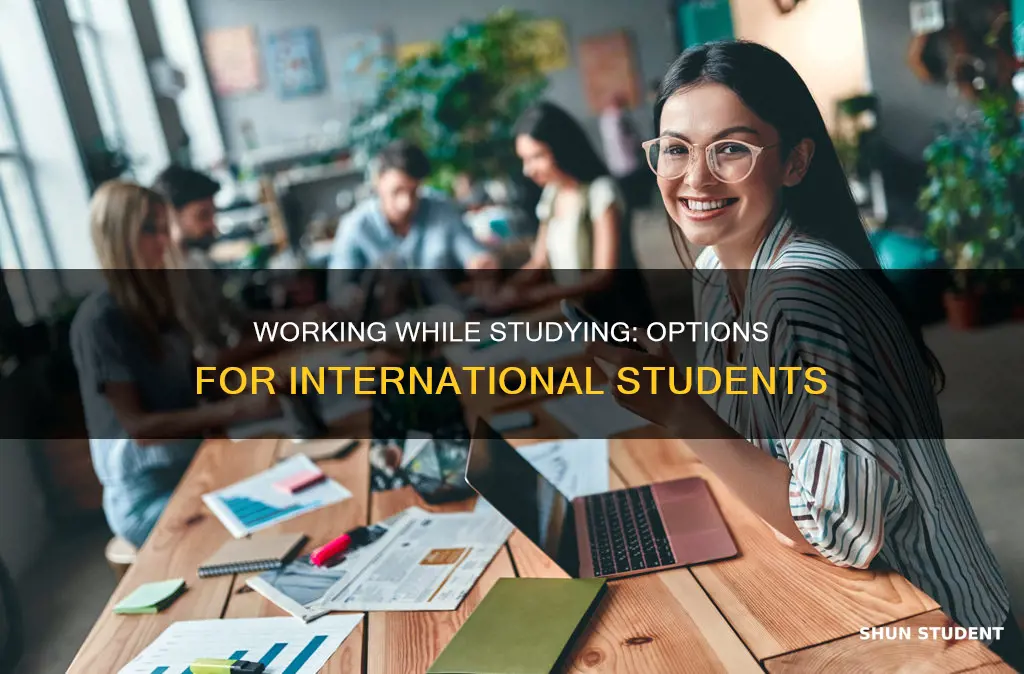 can international students work while in college