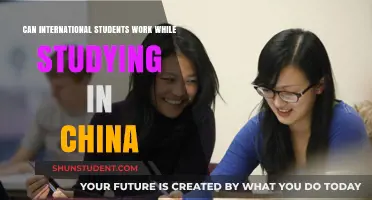 Working While Studying in China: What International Students Need to Know