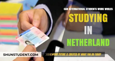 Working While Studying in the Netherlands: What International Students Need to Know