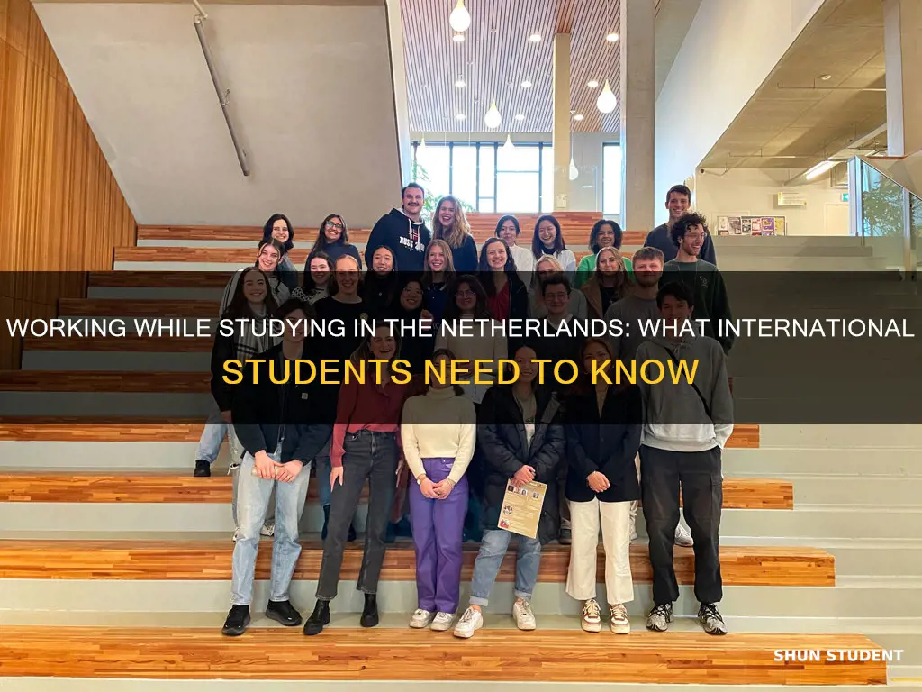 can international students work whiles studying in netherland