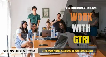 GTri's Work Opportunities: An International Student's Guide