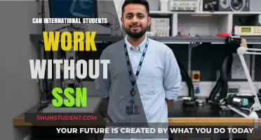 Working Without an SSN: Options for International Students