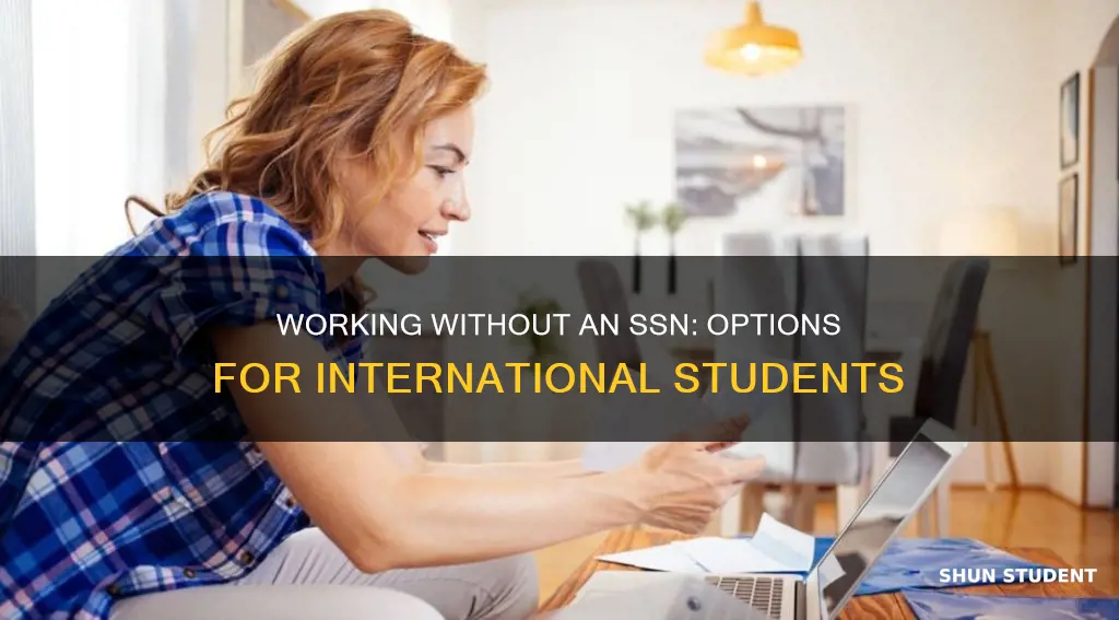 can international students work without ssn