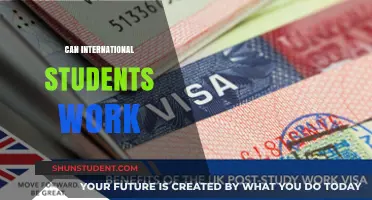 Working While Studying: Options for International Students