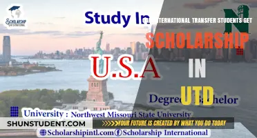 UTD Scholarships: International Transfers' Eligibility Explored