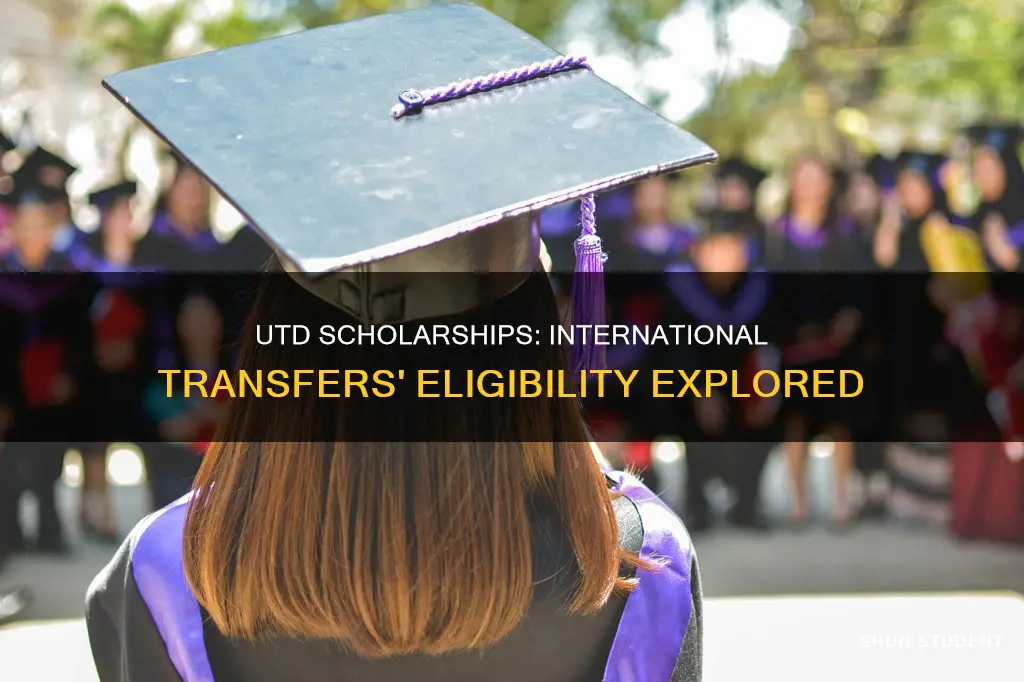 can international transfer students get scholarships in utd
