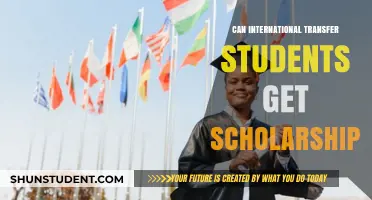 Transfer Student Scholarships: International Opportunities