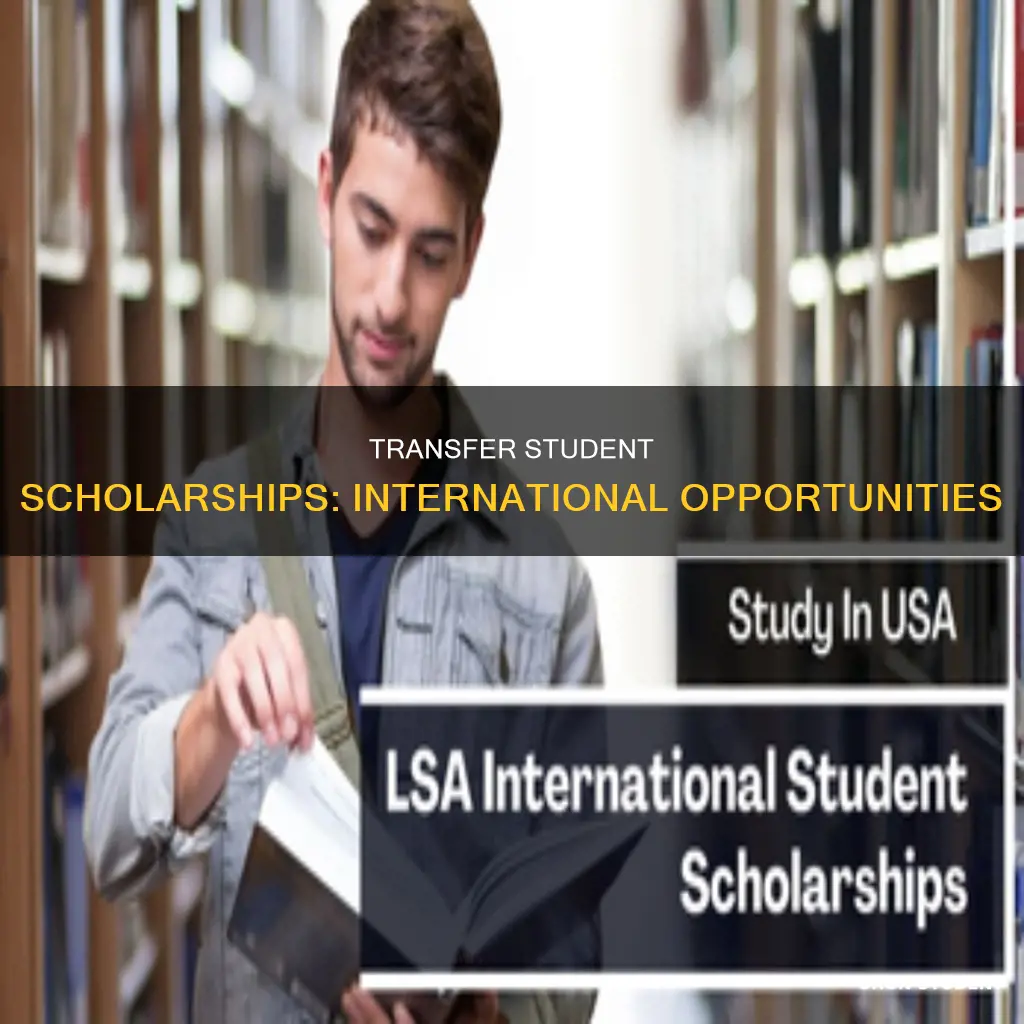 can international transfer students get scholarships