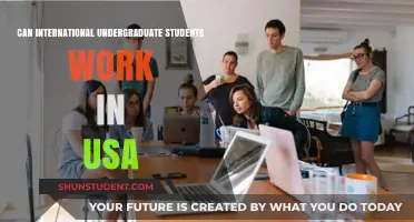 Working in the USA: International Undergrad Options