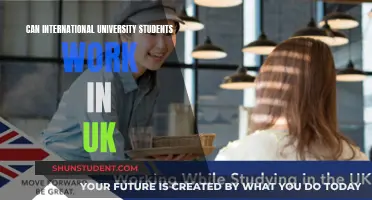 International Students: Work Rights in the UK