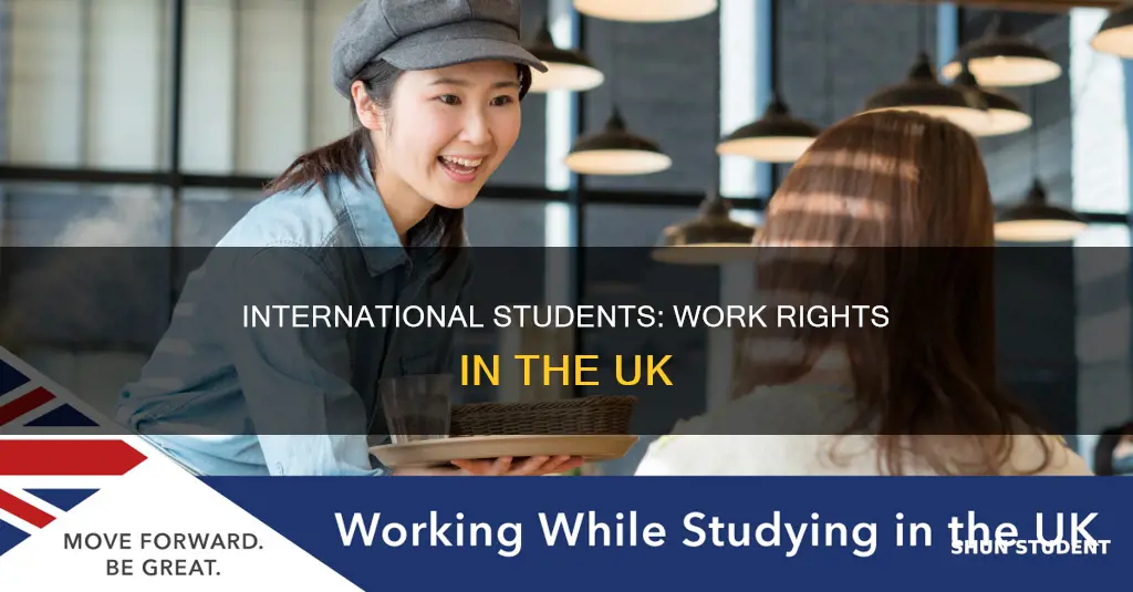 can international university students work in uk