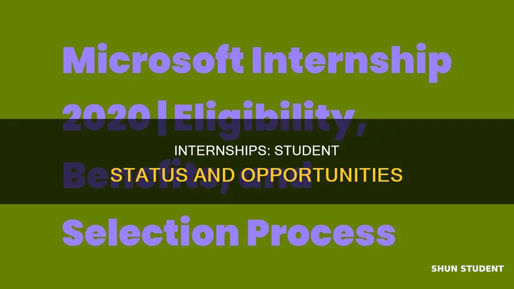 can interns be non students