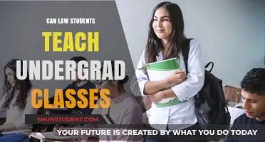 Can Law Students Teach Undergrad Classes? Exploring Roles and Qualifications