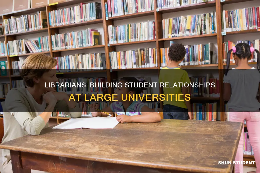 can librarians develop relationships with students at large universities