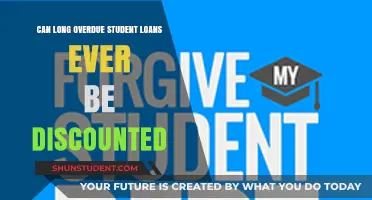 Discounting Long Overdue Student Loans: Is Debt Relief Possible?