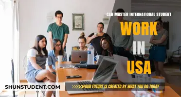 Working in the USA: International Student Opportunities