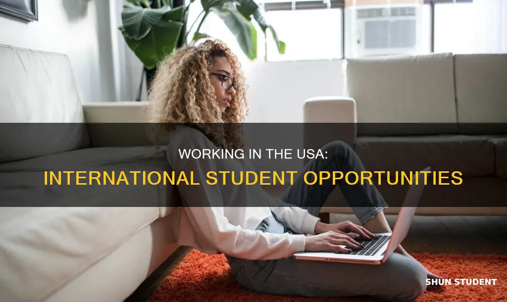 can master international student work in usa