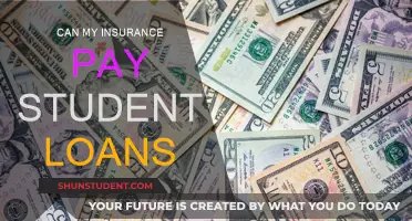 Insurance Payouts for Student Loans: Is it Possible?