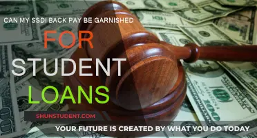 SSDI Back Pay: Student Loan Garnishment?