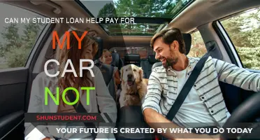 Student Loan Car Purchase: Is it Possible?