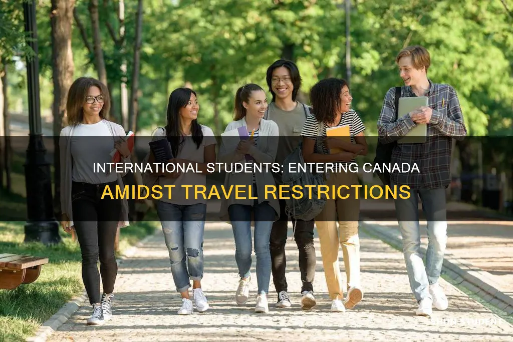 can new international students enter canada