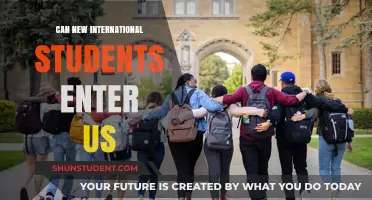 International Students: Entering the US in 2023