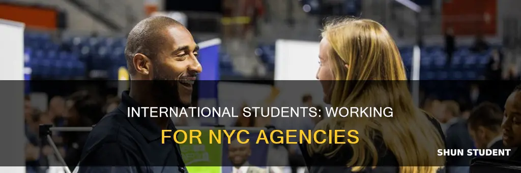 can new york city agencies hire international students