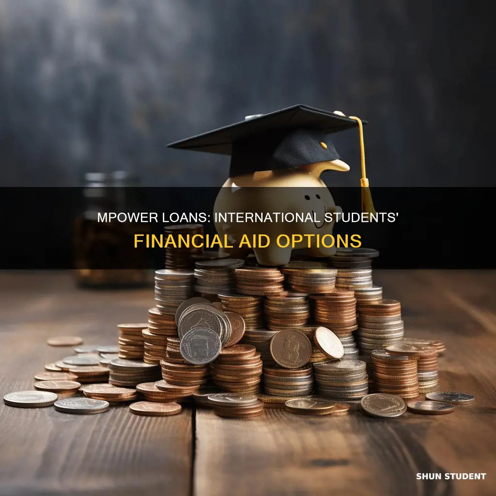 can non international students apply for mpower loans