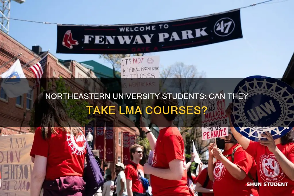 can northeastern university students take lma