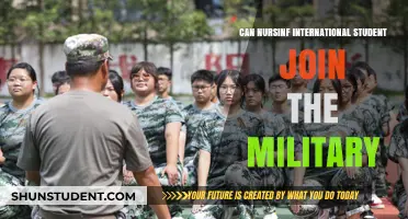 International Nursing Students: A Military Career Option?