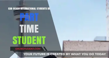 OCAD International Students: Can They Study Part-Time?
