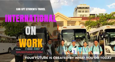 OPT Students: International Travel for Work