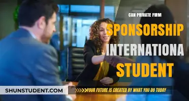 Sponsorship Options for International Students: Private Firm Support