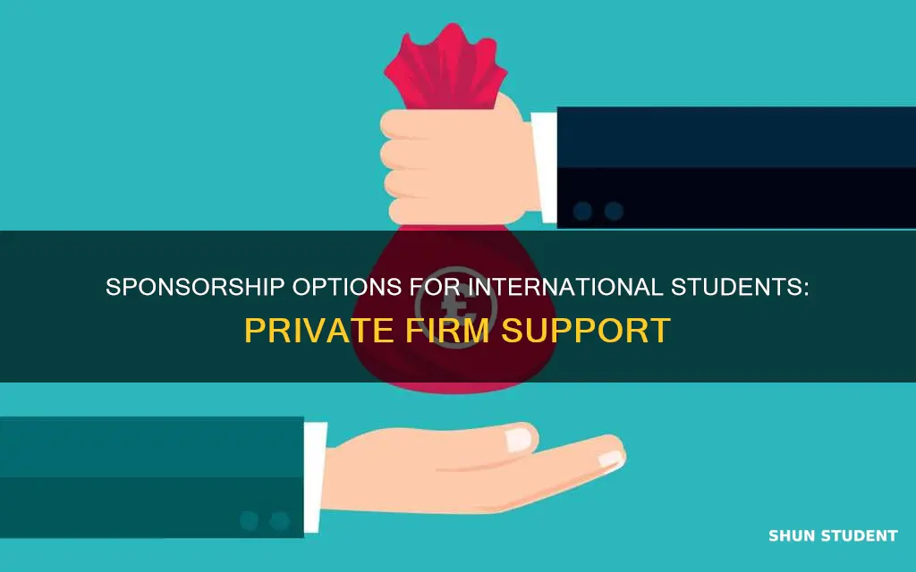 can private firm sponsorship international student
