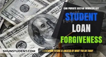 Private Sector Workers: Can You Qualify for Student Loan Forgiveness?