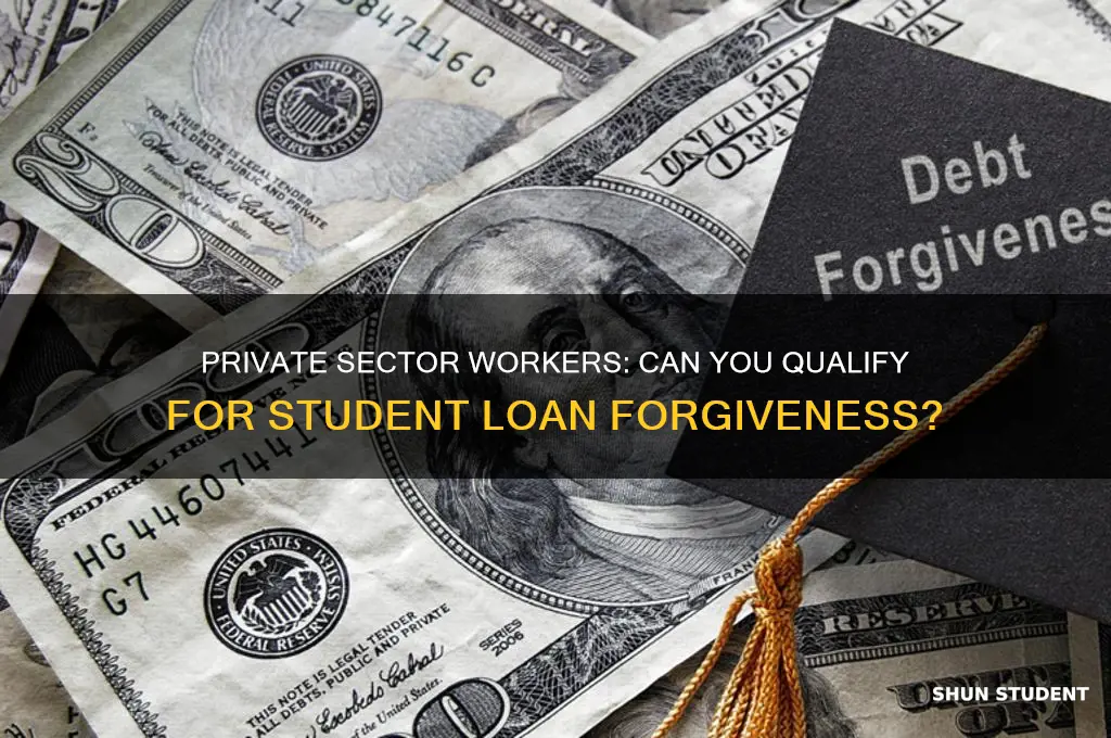 can private sector workers get student loan forgiveness