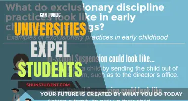Public Universities: Can They Expel Students?