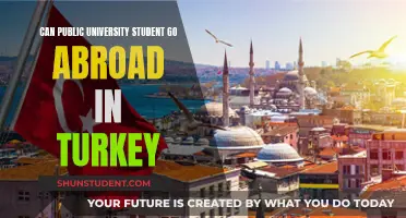 Exploring Turkey: Options for Public University Students