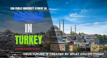 Public University Students: Studying Abroad in Turkey