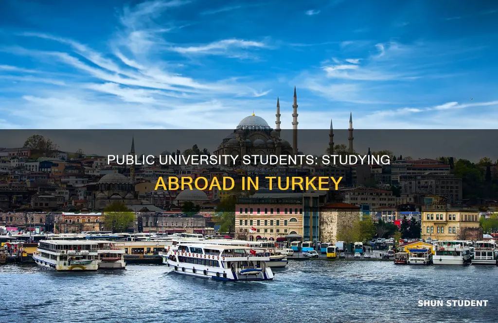 can public university student go abroad in turkey
