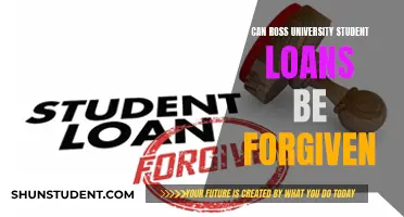 Ross University Student Loan Forgiveness: Is it Possible?