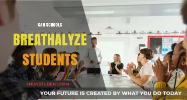 Balancing Safety and Privacy: The Debate on Student Breathalyzation