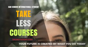 International Seniors: Reducing Course Load