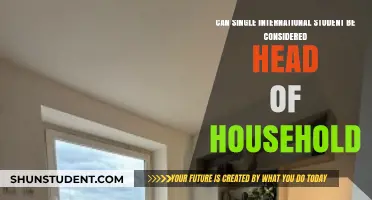 Single International Student: Head of Household?
