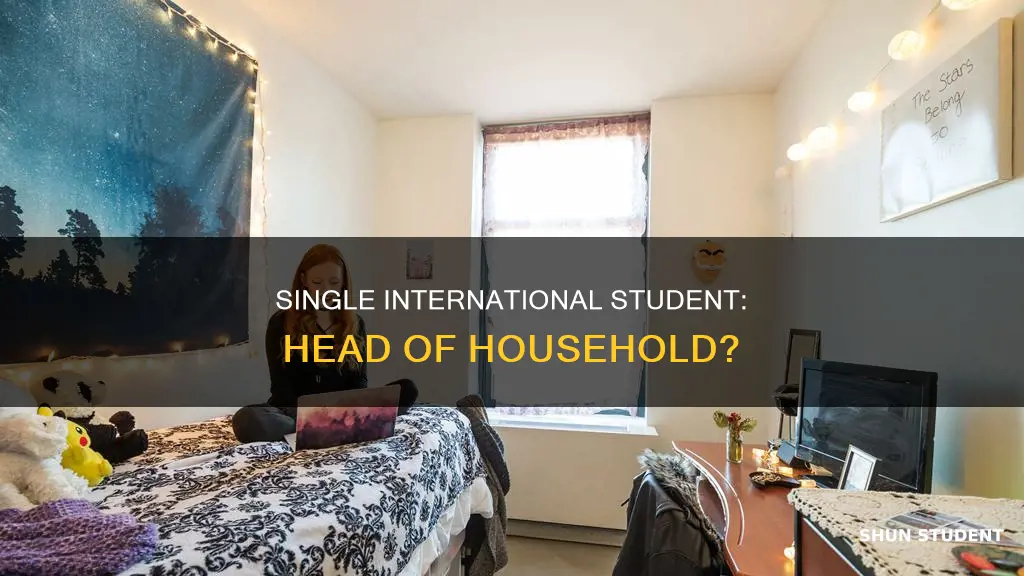 can single international student be considered head of household