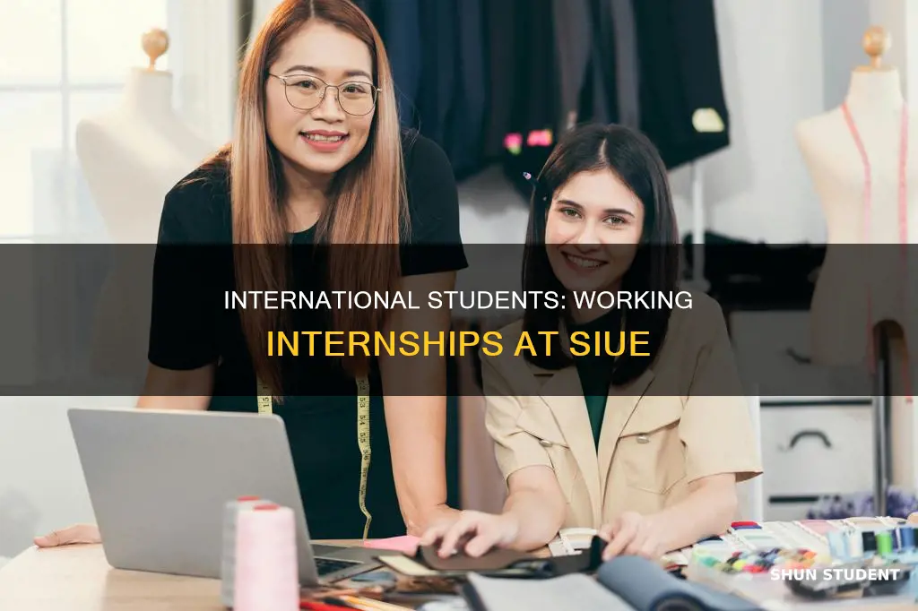 can siue international students work on internships